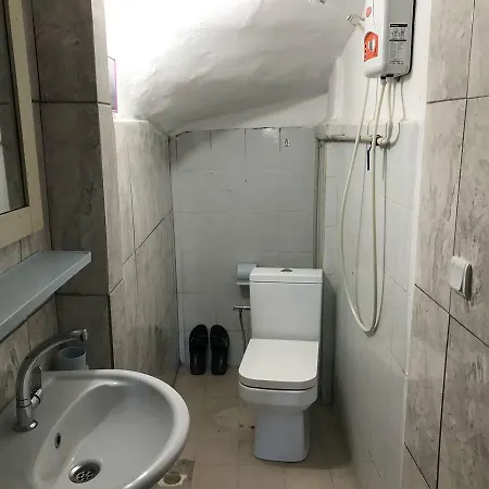 Mini *